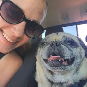 Meet your Posher, Casey